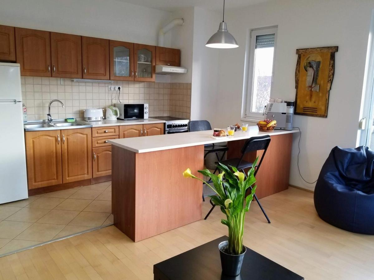 New Pest Apartman Διαμέρισμα Βουδαπέστη Εξωτερικό φωτογραφία